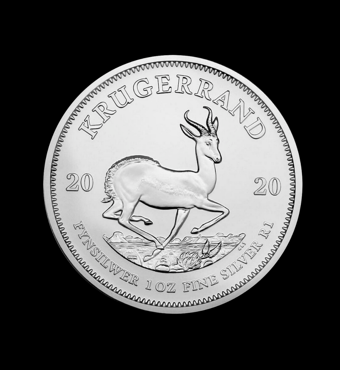 Pièce argent Maple Leaf 1 once investissement depuis 1988