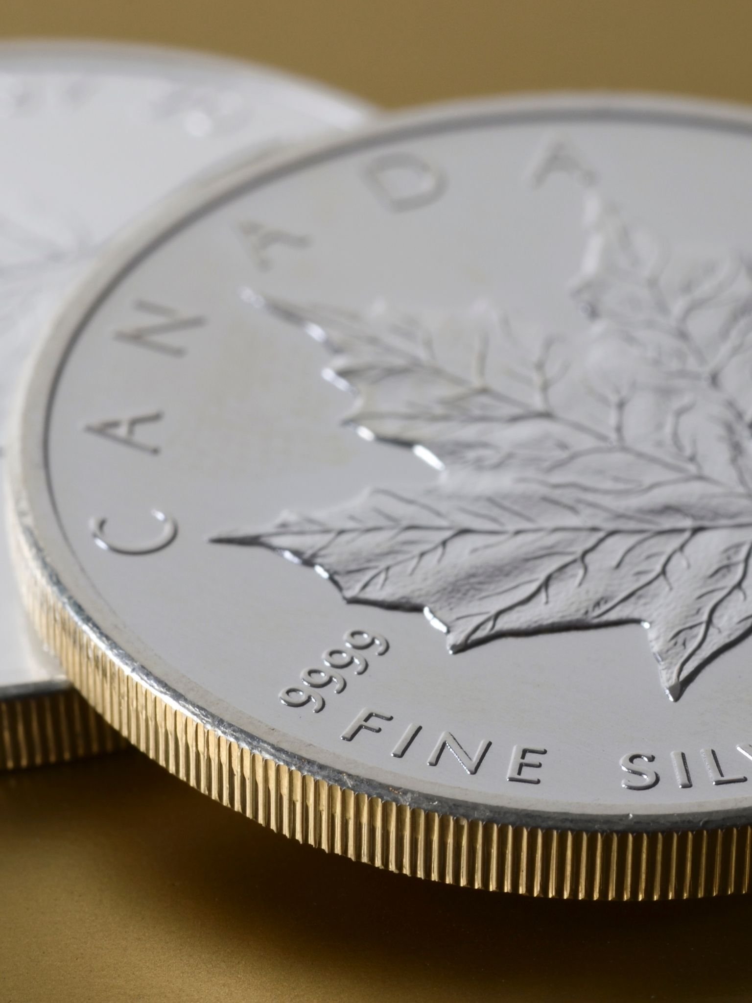 Pièce Maple Leaf 1 once argent canadienne
